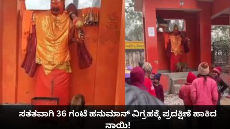 ಸತತವಾಗಿ 36 ಗಂಟೆ ಹನುಮಾನ್ ವಿಗ್ರಹಕ್ಕೆ ಪ್ರದಕ್ಷಿಣೆ ಹಾಕಿದ ನಾಯಿ! – Kannada News | Dog Circles Hanuman Idol For 36 Hours in Bijnoor Watch Viral Video